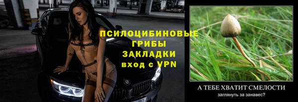 гидра Гусев