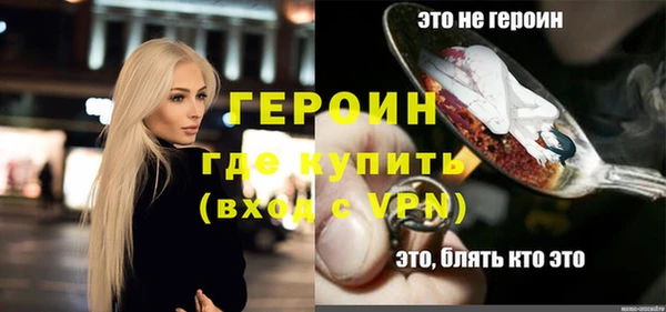 индика Дмитриев