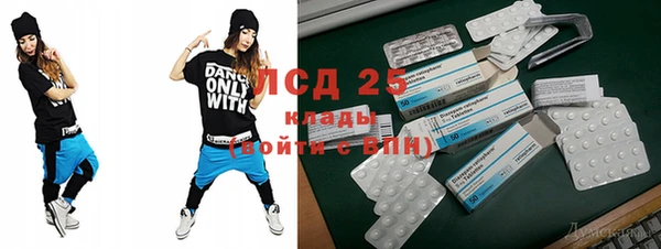индика Дмитриев