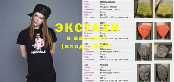гидра Гусев