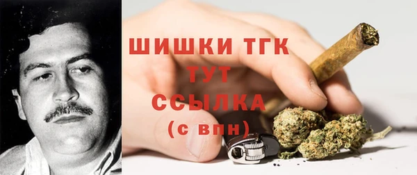гидра Гусев