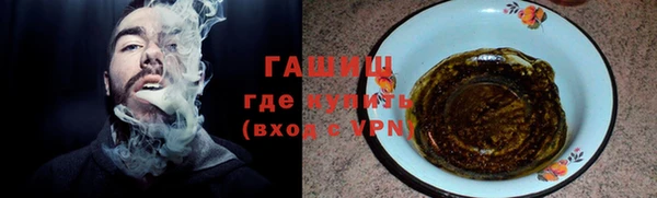 индика Дмитриев