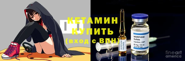 гидра Гусев