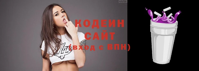 индика Дмитриев