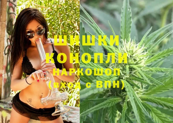 гидра Гусев