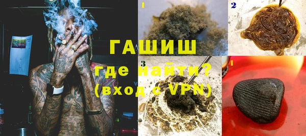 индика Дмитриев