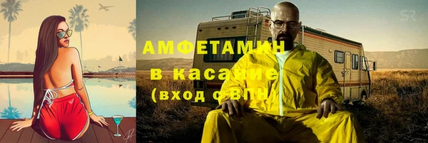 индика Дмитриев
