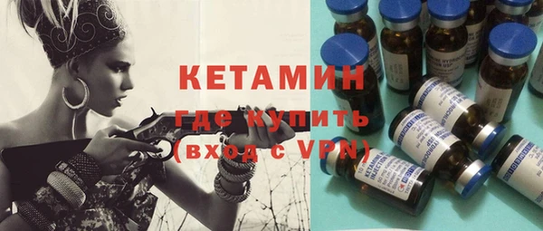 индика Дмитриев