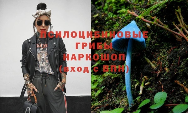 гидра Гусев
