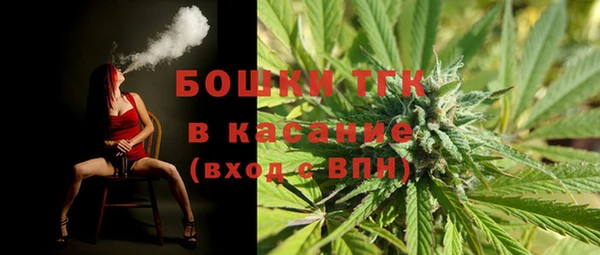 индика Дмитриев
