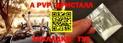 стафф Кандалакша