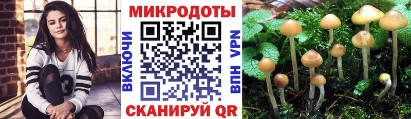 Галлюциногенные грибы Psilocybine cubensis магазин продажи наркотиков это как зайти Мурино