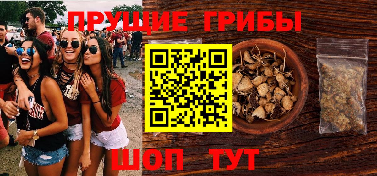 Галлюциногенные грибы Psilocybe  Вход с VPN  Мурино 