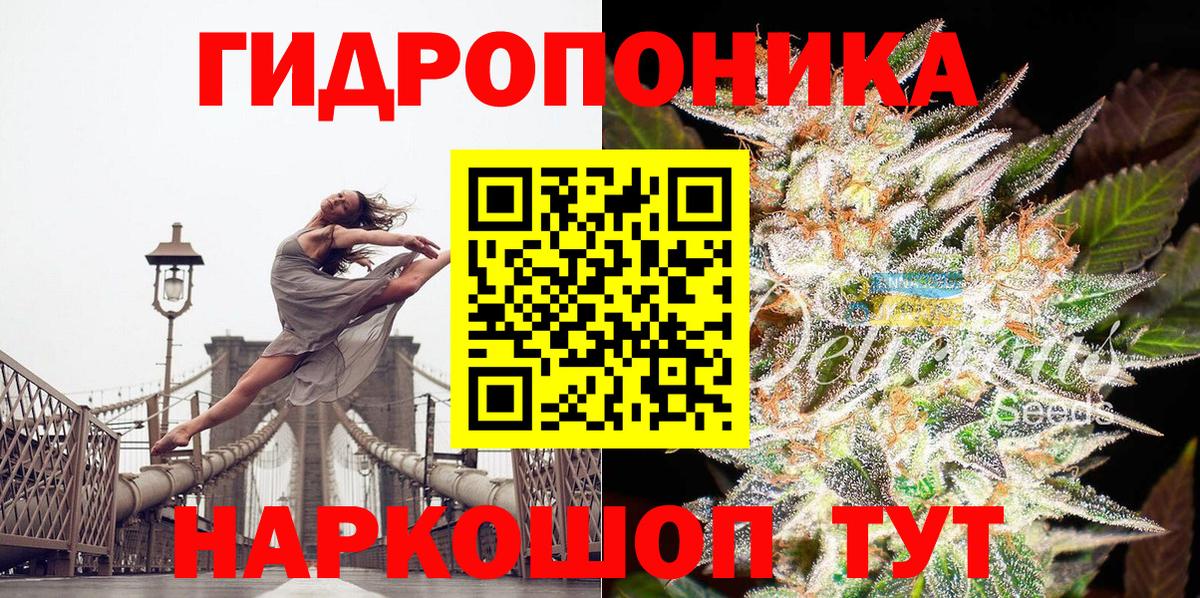 Шишки марихуана семена Мурино